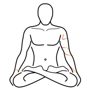 Logo del canale Telegram dojonaturismoolistico - 🏳️‍🌈 Dojo Naturismo Olistico 🇮🇹