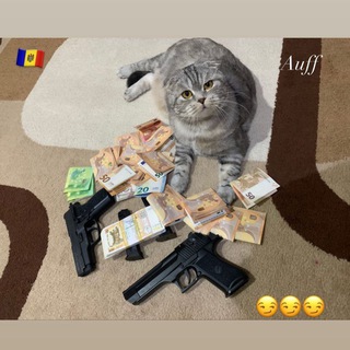 Telegram channel Cash 💰 Moldova 🇲🇩 logo