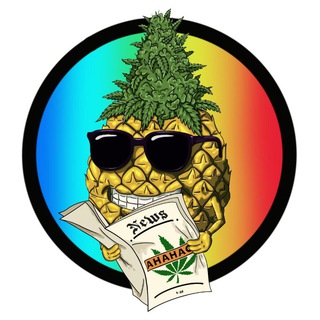 Логотип телеграм канала @ananasjournal — 🍍 Ананасовый journal 🍍