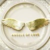 Логотип телеграм канала @angelsoflovereviews — Отзывы клиентов эскорт агентства.