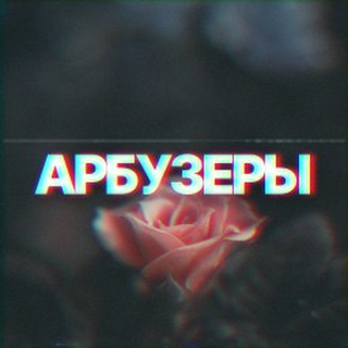 Telegram channel Видосики с ТТ logo
