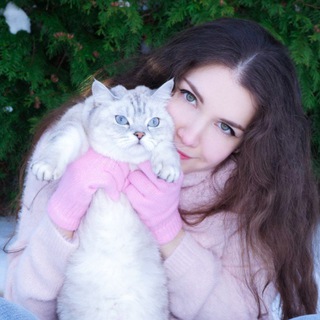 Логотип телеграм канала @asmr_kittyklaw — ASMR KittyKlaw 🐈