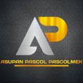 Logo saluran telegram asupanpascolmekk — Asupan pascolmek