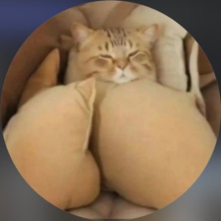 Telegram channel ❤️ ЛИЗА АНОХИНА ФАН logo