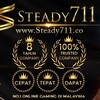 电报频道的标志 avsteady711 — WWW.STEADY711.CO