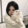 电报频道的标志 babe_87ak — 夢夢の桃園暗黑按摩紓壓🎠