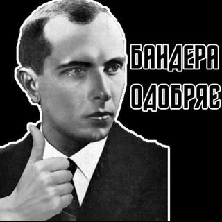 Telegram channel Бандера Одобряє logo