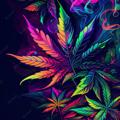 Telegram channel Batumi Georgia smoke logo
