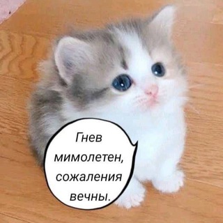 Telegram channel Новостной портал «рыгота1» logo