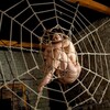 Telegram channel 🔞 БДСМ | BDSM logo