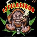 Logo saluran telegram best_of_firstclassbud420 — WEST COAST FIRST CLASSBUD