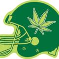 Telegram channel BestOfTheBud logo