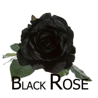 Black Rose Official🌹🌹 - Telegram Channels