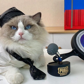 Telegram channel КУПИТЬ UC В PUBG MOBILE logo
