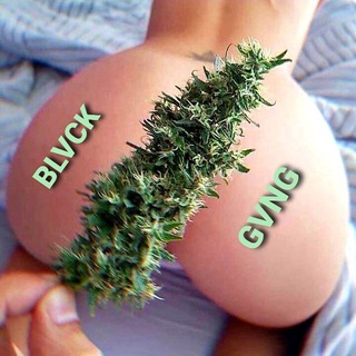 Логотип телеграм канала @blvck_gvng — 🔥⭐️BLVCK GVNG⭐️🔥