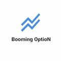 Telegram channel Booming Option 💣 ( NISM & NSE certified ) logo
