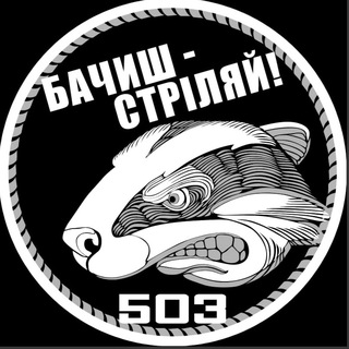 Telegram channel 503_Борсуки logo