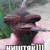 Логотип телеграм канала @bratisestravideotg — БРАТ И СЕСТРА ВИДЕО ТГ