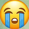电报频道的标志 braundress1 — 😭哭墙😭