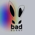 Telegram kanalining logotibi bunnynudeo — Bunny nude