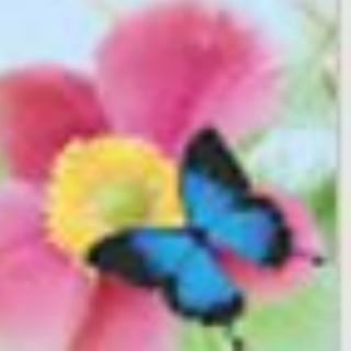 电报频道的标志 butterflyvalley — 樓上骨 🦋蝴蝶谷🦋 預約5535 5103
