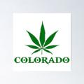 Logo des Telegram-Kanals buyweedcolorado40 - BuyweedColorado