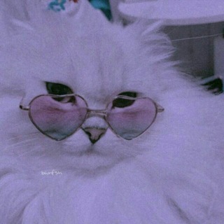 لوگوی کانال تلگرام bwnfsh — -вωηfѕн♡