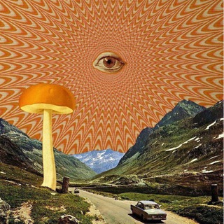Logo of telegram channel c_j0_9chrisjfarm — psychedelics 🍄