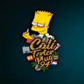 Logo de la chaîne Telegram caliterterplug — 🥇🏢CaliTerTerplug🏢🥇