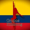 Logotipo del canal de Telegram canaleskillmongof - Grupos Killmong 🇨🇴