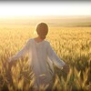 电报频道的标志 cancanneed54320 — 花月正春风