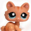 Telegram channel candy0w0kitten logo