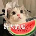 电报频道的标志 chiguav3 — 吃瓜视频