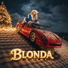 Логотип телеграм канала @chinhokshop — Blonda 🐆 | Новости