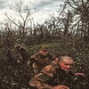 Логотип телеграм -каналу cjbaza88 — Сіджик ꑭ