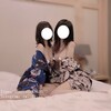 电报频道的标志 ck5117 — 3P雙飛一王二后帝王享受
