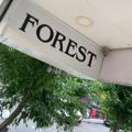 Telegram channel FOREST logo