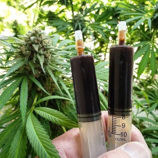 Coffeeshop_partytime(cannabis/seeds/RSO/vapes/THC/rave techno speed) - Telegram Channels