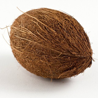Logo of telegram channel coolcoconut123 — CoolCoconut Tips