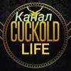 Telegram channel КУКОЛД-LIFE канал logo