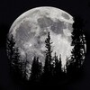 Telegram channel Dark moon 🌑📚 logo