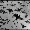 Логотип телеграм канала @darksnews1 — 🐦‍⬛️Dark news | плохие новости🐦‍⬛️