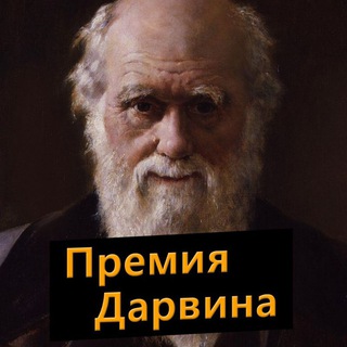 Telegram channel Премия Дарвина logo