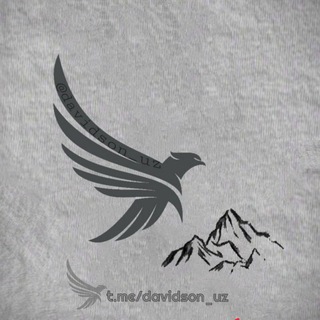 Telegram channel davidson_uz logo