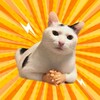Telegram channel ЁШКИН КОТ logo