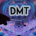 Logo of telegram channel dmtcarts420 — DMT CARTS420🌿🍄