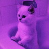 Telegram channel ℍ𝔾𝕁📰ℕ𝔼𝕎𝕊™ logo