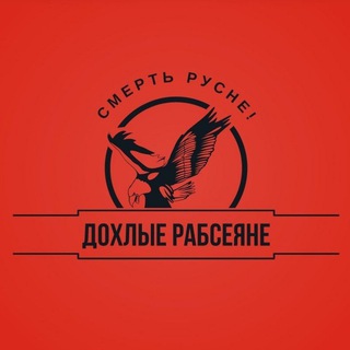 Telegram channel ✙Дохлые рабсеяне 🇷🇺 logo