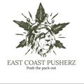 Telegram channel Eastcoastpusherz logo
