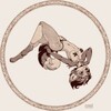 Telegram channel Kingdom V'ebenGrad (Furry-NSFW) logo